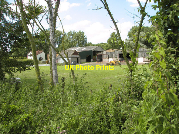 Photo 6"x4" View towards Beech Farm Sneath Common c2014