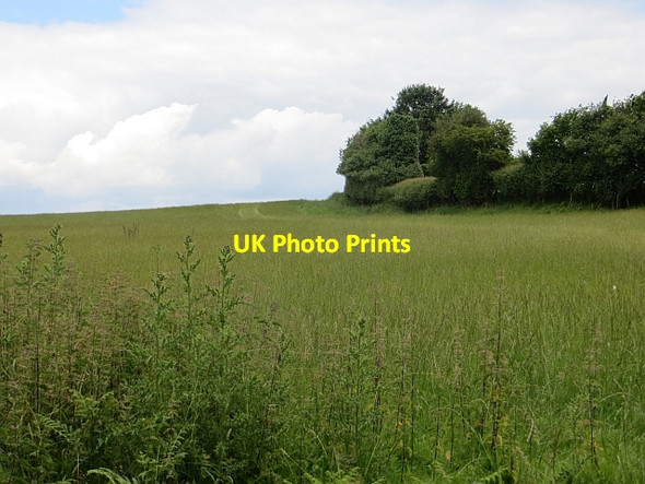 Photo 6"x4" Hilltop pasture off Apostles Lane Brilley Mountain c2014