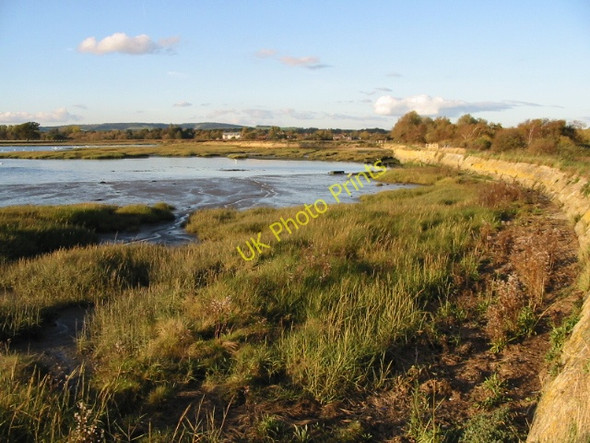 Photo 6"x4" Looking N along the sea wall in the evening sun Apuldram c2008