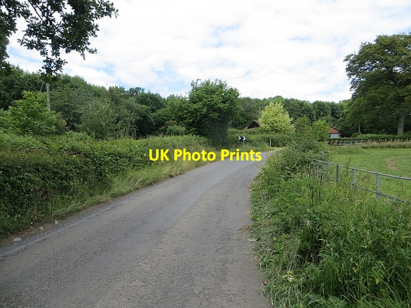 Photo 6"x4" Almeley Road Eardisley c2014