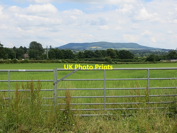 Photo 6"x4" Double gate, Almeley Almeley c2014