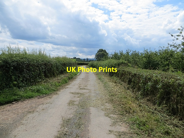 Photo 6"x4" Early menace Almeley c2014