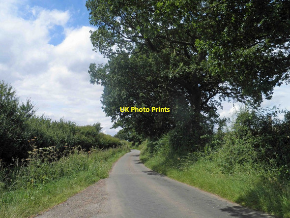 Photo 6"x4" Catskin Lane near Walesby Risby\/TF1491 c2014