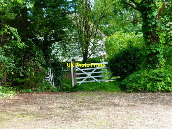 Photo 6"x4" Footpath from Witley Station passes Lilac Cottage Brook\/SU9337 c2014