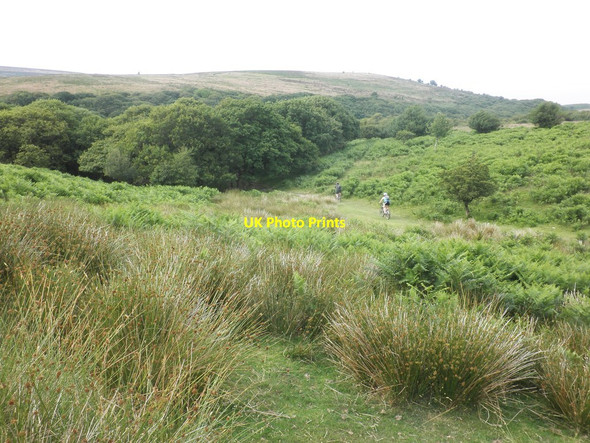 Photo 6"x4" Cyclists descend Frog Hill Friarn c2014