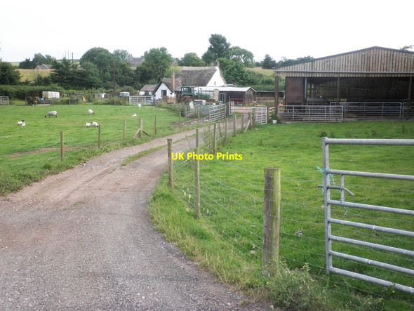 Photo 6"x4" Farm at Nether Stowey Bincombe\/ST1839 c2014