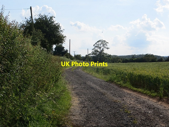Photo 6"x4" Farm road, Tedstill Middleton Scriven c2014