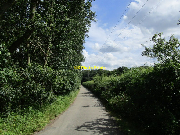 Photo 6"x4" Track to Clipstone Gorsethorpe c2014