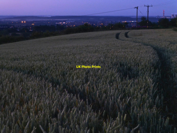 Photo 6"x4" Wheat field at dawn Dale Moor c2014