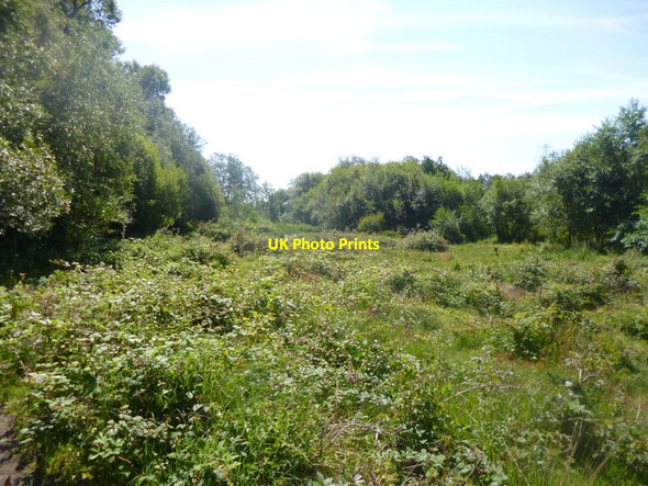 Photo 6"x4" Bourne Bottom Turbary Common c2014