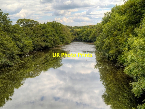 Photo 6"x4" River Ure, Downstream from Masham Bridge Masham c2014