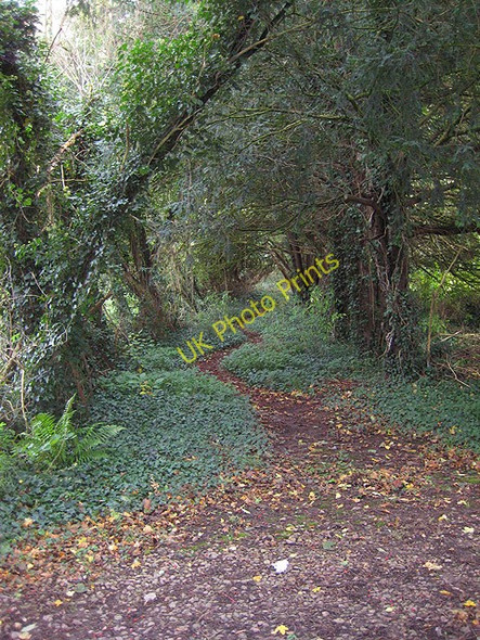 Photo 6"x4" Shady, sinuous path Monmouth\/Trefynwy c2008