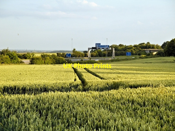 Photo 6"x4" Crop field near the M1 Hollinthorpe c2014