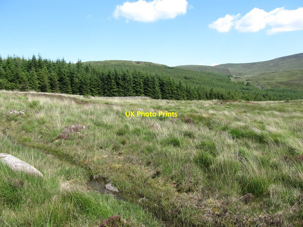 Photo 6"x4" Waterlogged path approaching the Rostrevor Forest Rostrevor c2014