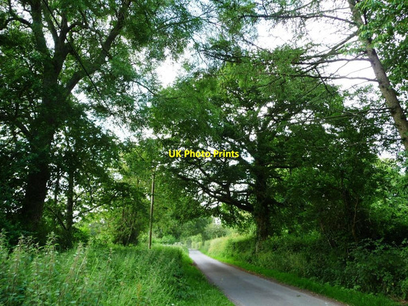 Photo 6"x4" The road north to Brick Kiln Farm East End\/SU6424 c2014