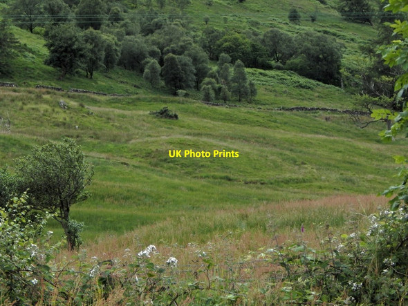 Photo 6"x4" The Witches' Ring Tarbet\/NN3104 c2014