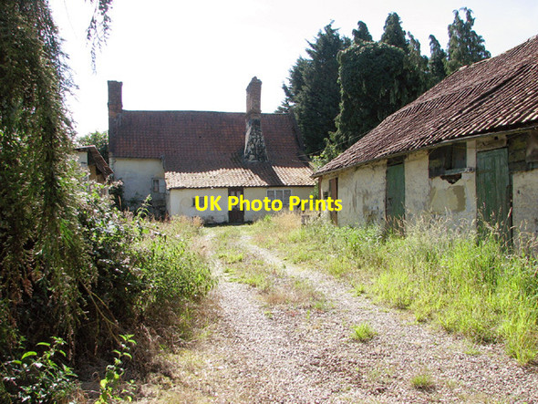 Photo 6"x4" Poplar Tree Farm - barn and farmhouse Fersfield c2014