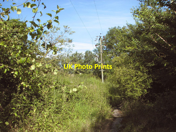 Photo 6"x4" Footpath to Fersfield Common Boyland Common c2014