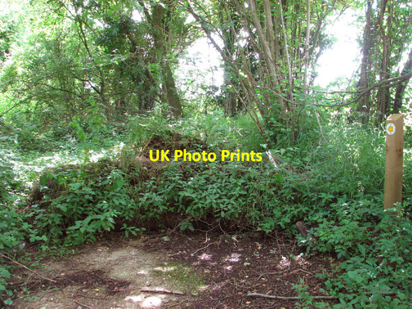 Photo 6"x4" Footpath marker beside Airfield Road Boyland Common c2014