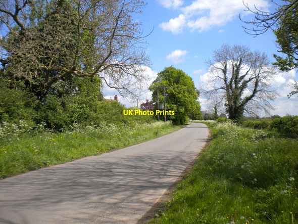 Photo 6"x4" Gonalston Lane north of Lowdham Gonalston c2014
