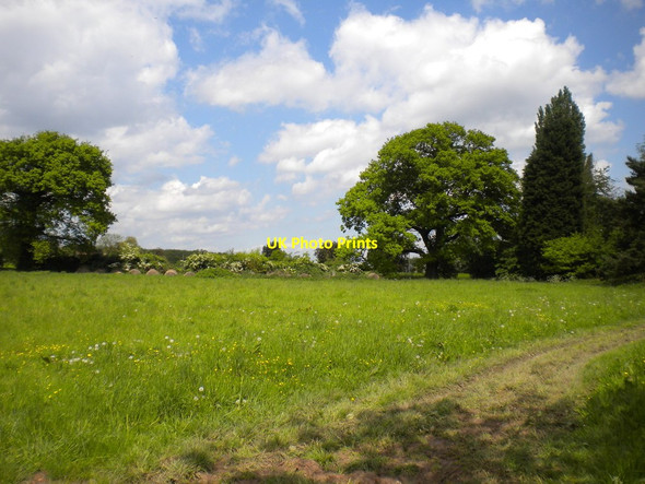 Photo 6"x4" Small field next to Hagg Cottage Gonalston c2014