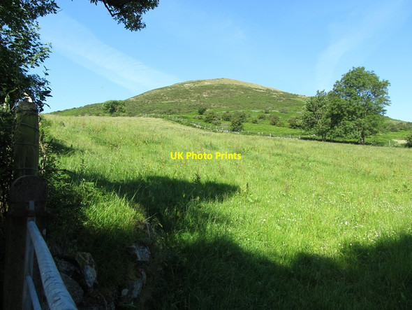 Photo 6"x4" Grazing land on the lower slopes of Knockshee Greencastle\/J2411 c2014