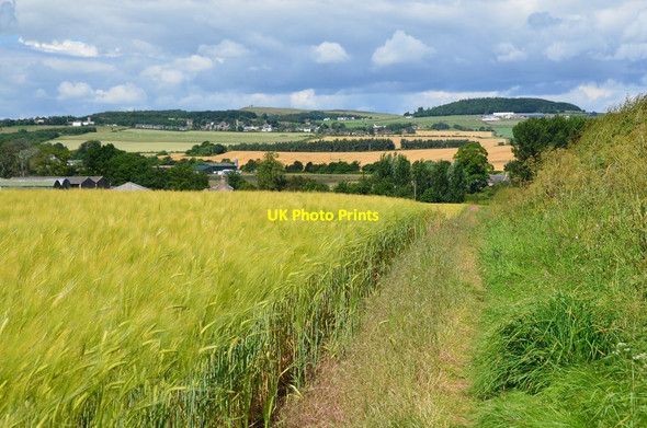 Photo 6"x4" Old ferry road from Ednam Kelso c2014
