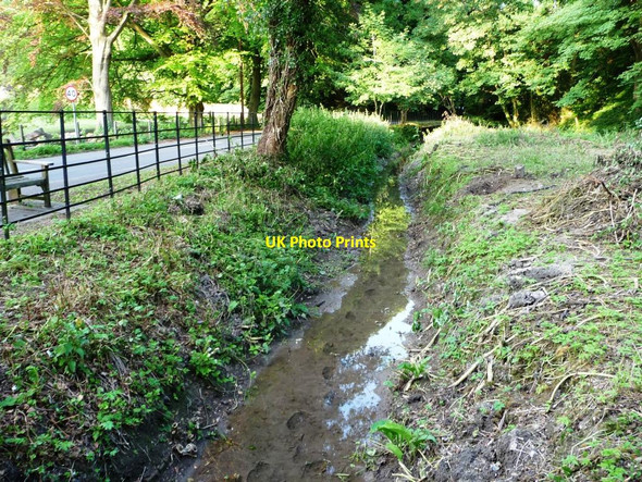 Photo 6"x4" Footsteps down the mill stream, West Meon East End\/SU6424 c2014