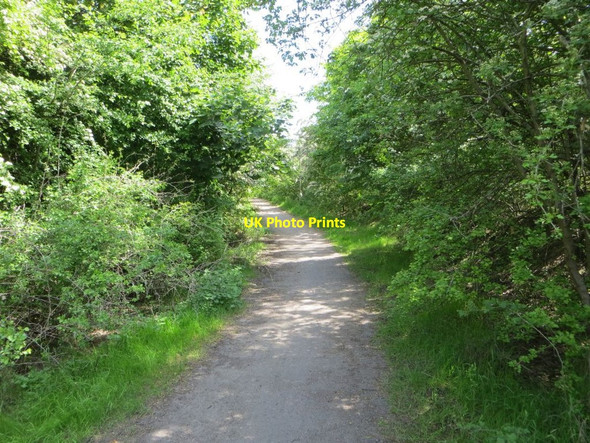 Photo 6"x4" Path to Chilton Chilton\/SU4885 c2014