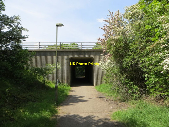 Photo 6"x4" Path to the underpass Chilton\/SU4885 c2014