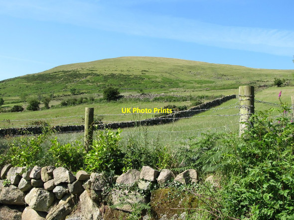 Photo 6"x4" Intake fields along the eastern slopes of Knockshee Greencastle\/J2411 c2014