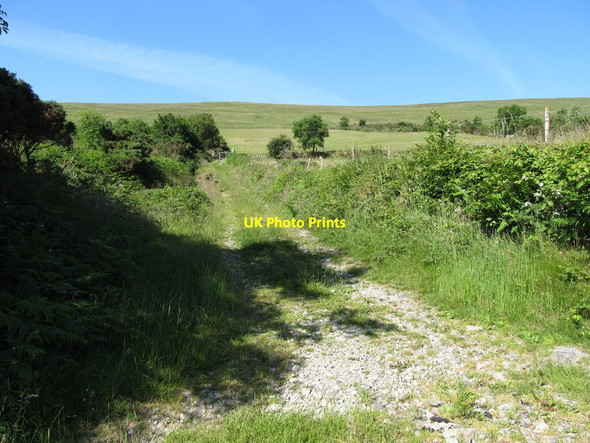 Photo 6"x4" Field access road to reclaimed land on the eastern slopes of the Knockshee ridge Greencastle\/J2411 c2014