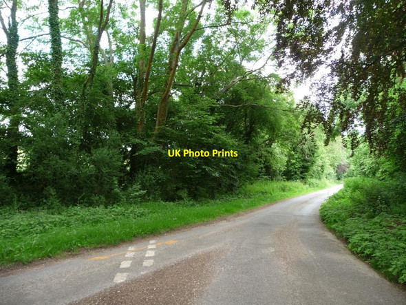 Photo 6"x4" The road to West Meon and East Meon West Meon Woodlands c2014