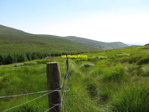 Photo 6"x4" A southward turn in the forest boundary fence on the slopes of Sleivemeel Rostrevor c2014