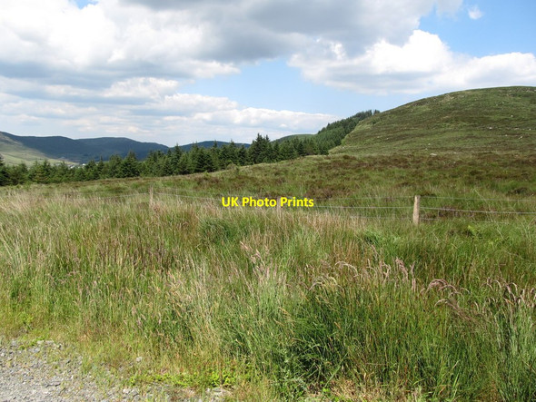 Photo 6"x4" The upper limit of the Kilbroney Valley forest on Slievemeel Rostrevor c2014