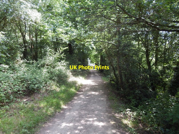 Photo 6"x4" Path to Wivenhoe railway station Wivenhoe c2014