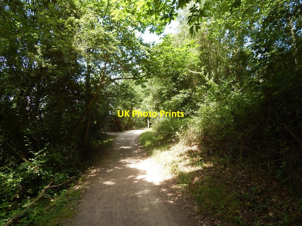 Photo 6"x4" Path to West Quay junction Wivenhoe c2014