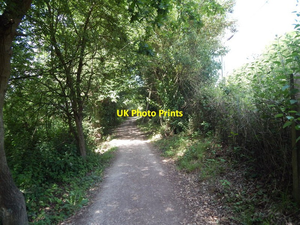 Photo 6"x4" Path to Colchester Wivenhoe c2014