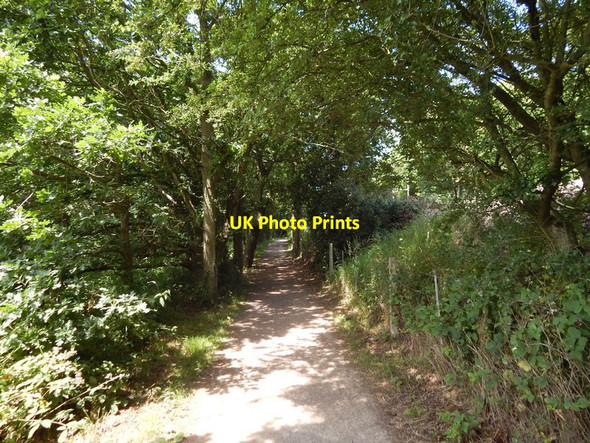 Photo 6"x4" Path to Colchester Wivenhoe c2014 P1