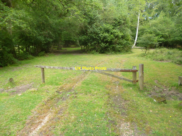 Photo 6"x4" Eyeworth, gateway Fritham c2014