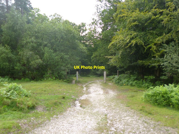 Photo 6"x4" Islands Thorns Inclosure, disused gateway Fritham c2014