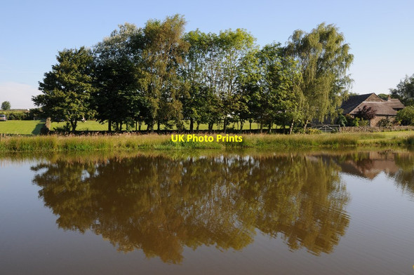 Photo 6"x4" Trees reflected in a pool Holestone c2014
