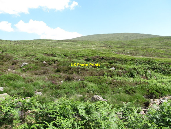Photo 6"x4" View across the Cassy Water towards the slopes of Finlieve Rostrevor c2014
