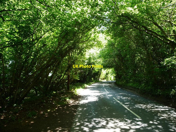 Photo 6"x4" Dappled shade on Old Park Road Bramdean c2014