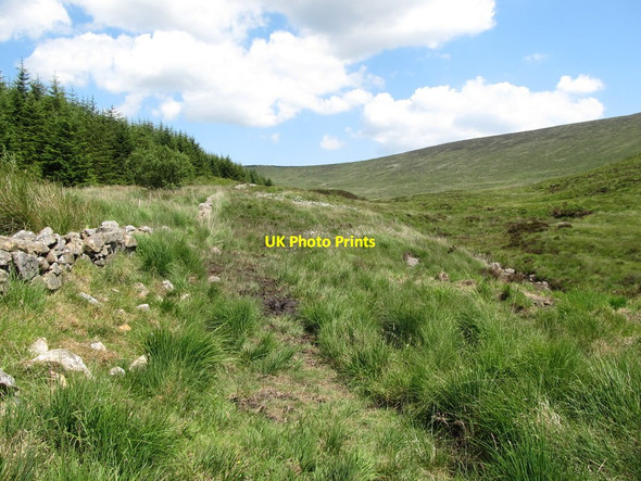 Photo 6"x4" Path running parallel with the forest boundary wall and the Cassy Water river Rostrevor c2014