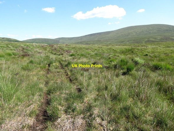 Photo 6"x4" Quad bike track on Slieveanowen Rostrevor c2014