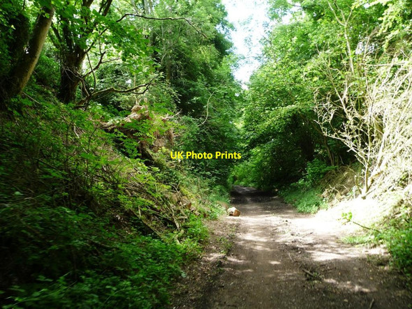 Photo 6"x4" Cutting on the Meon Valley Trail, a former railway Warnford c2014