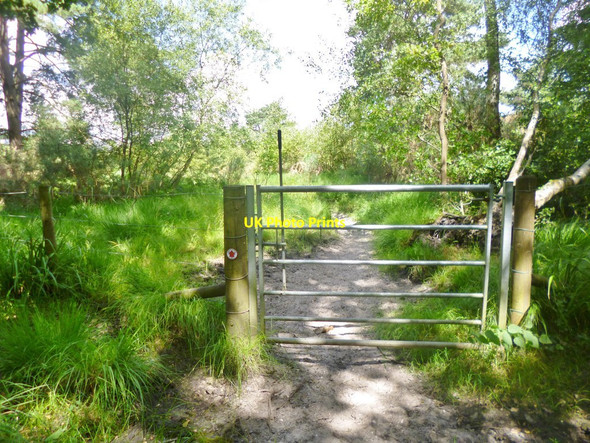 Photo 6"x4" West Parley, gate Parley Green c2014