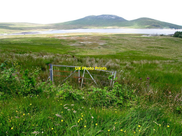 Photo 6"x4" Gateway leading to the bog off the Moyad Road Kilcoo c2013