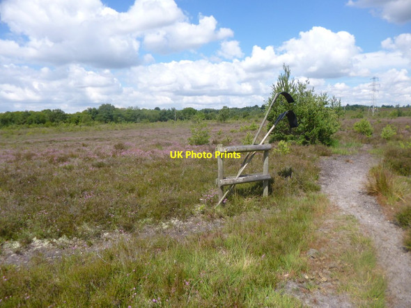 Photo 6"x4" Parley Common, fire beaters Parley Green c2014